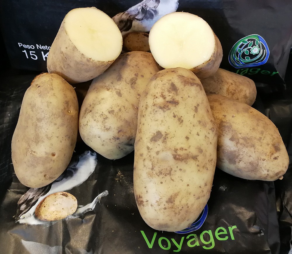 Patata-Voyager2-