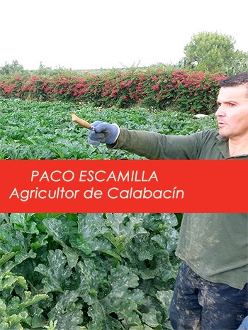 paco-escamilla-agricultor-calabacin-
