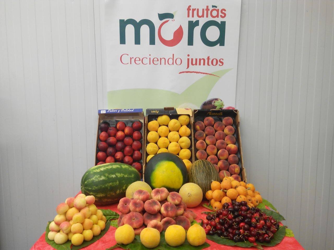 frutas_mayo_15